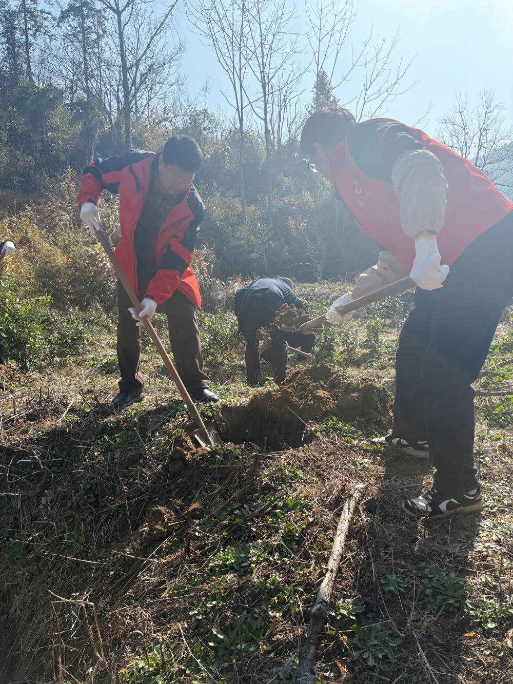 1773385835830306.jpg 微信图片_20260313111628_605_47(1).jpg