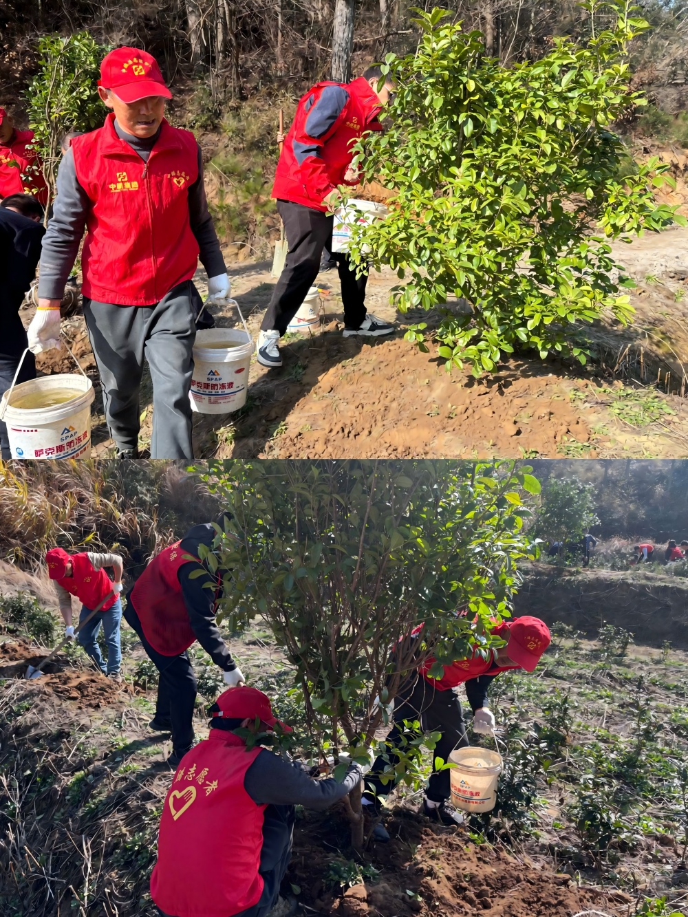 1773385864189196.jpg 微信图片_20260313115624_611_47(1).jpg